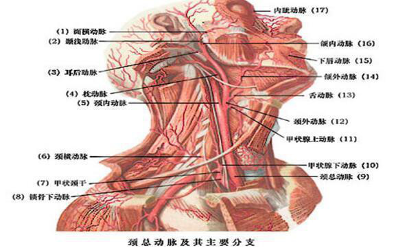 夺命一吻,男孩被女友留吻痕丧命