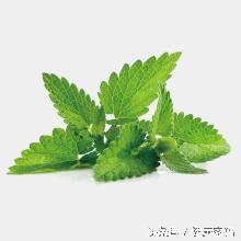 肠胃不适、肠胃炎、感冒、发烧、外伤等疾病，自己这样搞定！