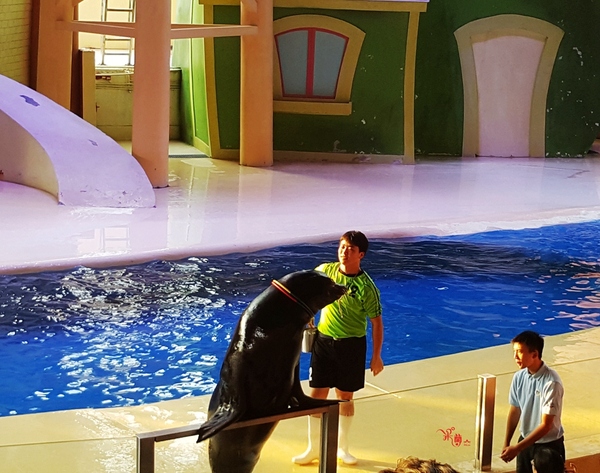 珠海长隆让人尖叫的海洋王国,珠海长隆海洋王国之绚丽多彩