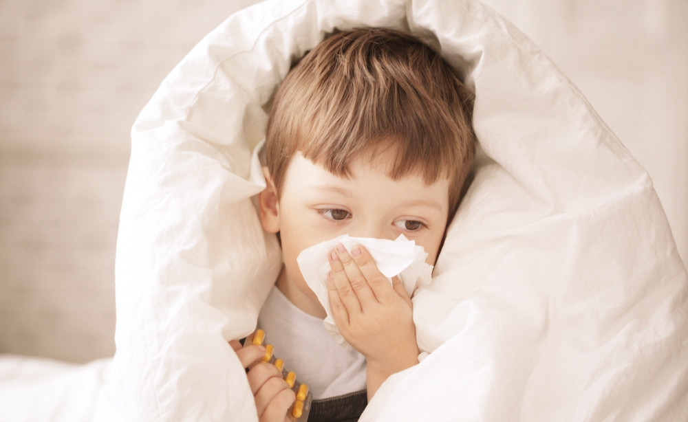 秋季这样吃萝卜，比人参还有效！