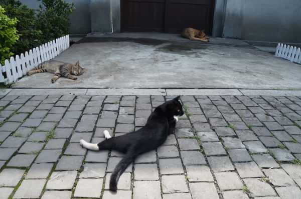 在台湾流浪14天~火星人的环岛路线！