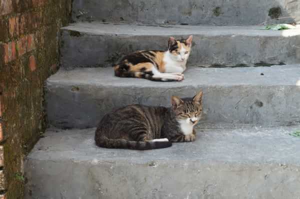 在台湾流浪14天~火星人的环岛路线！