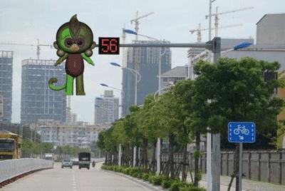 不服！我大华夏的猴子只能长这样吗？！