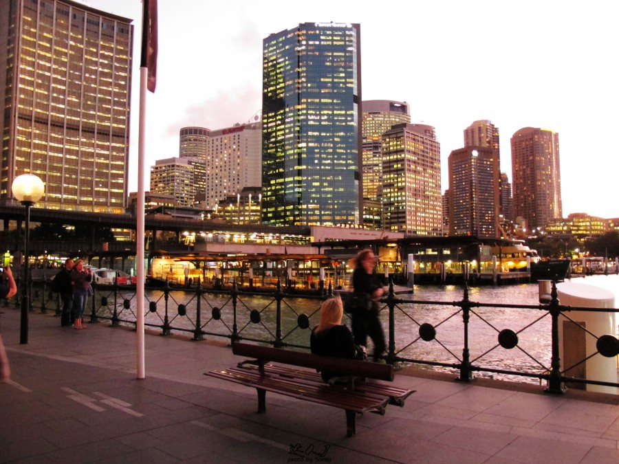 悉尼是啥味道,悉尼盐蚝