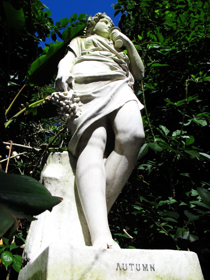 悉尼是啥味道,悉尼盐蚝