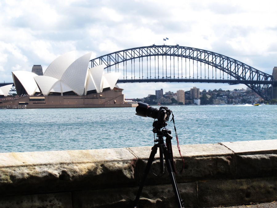 悉尼是啥味道,悉尼盐蚝