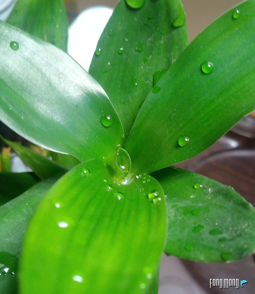 仅1799元8gb运存,1099元运存手机