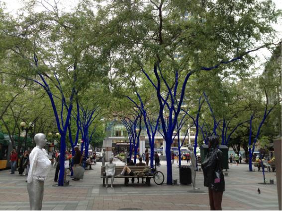 西雅图旅游自由行攻略,浪漫之都西雅图旅游攻略