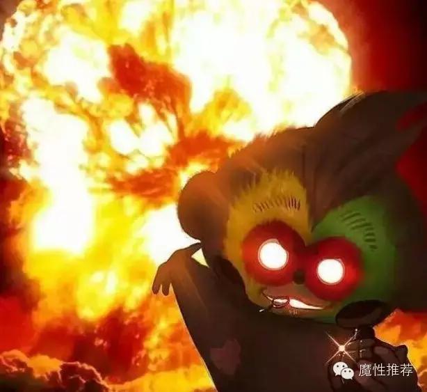 最丑争霸赛,最丑动物比赛