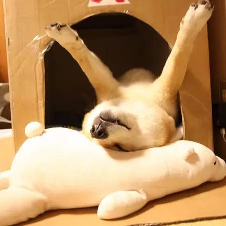 这个萌卖的我给101分