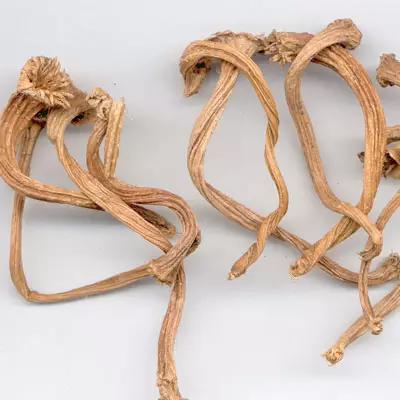 被丢掉的八种蔬菜根竟有特殊用处,生活中哪些常见蔬菜是中药