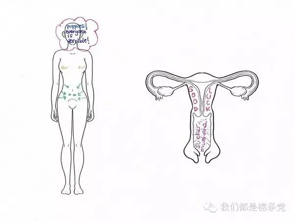 揭秘|有些痛女人才懂。颤抖吧，男人们！