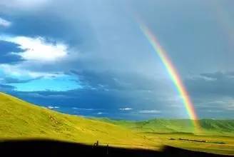 挺同志撑曼乔,足球让世界充满爱