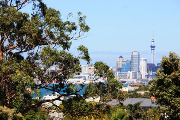 到怀希基岛,品酒-看海