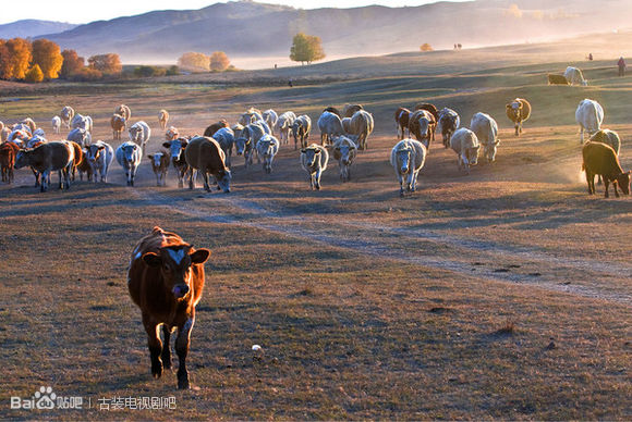 现在的古装剧都在哪里取景的,古装剧拍摄旅游地