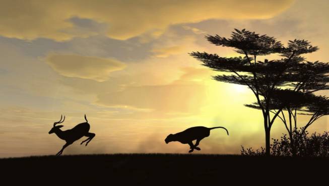 涡轮增压发动机对比油电混动,混合动力汽车发动机如何省油