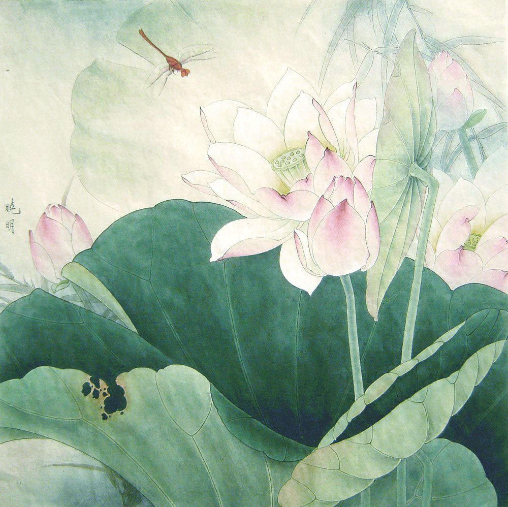 工笔粉红荷花教程,工笔荷花画法入门