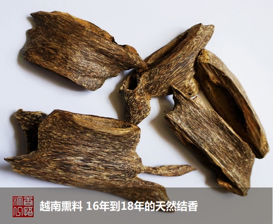 沉香初学者,沉香入门料