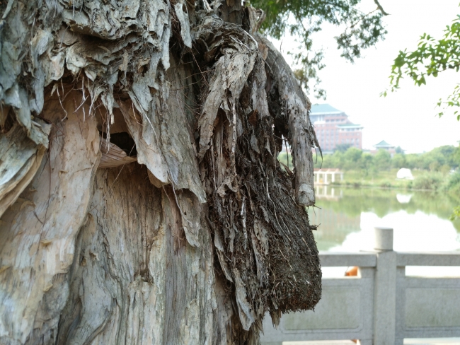 努比亚z11详细评测,努比亚z11体验