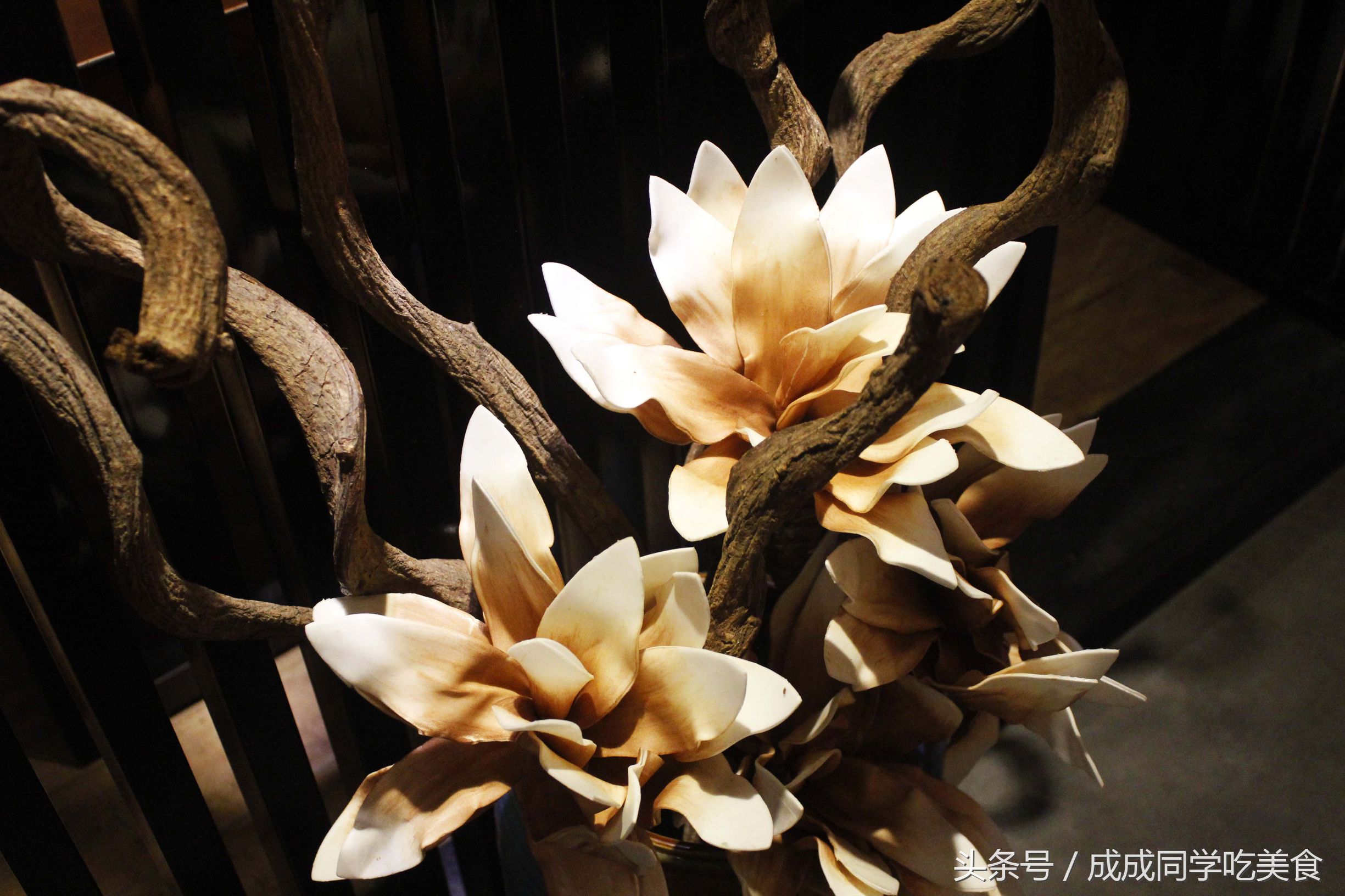 日料美食店推荐,地道日料店推荐