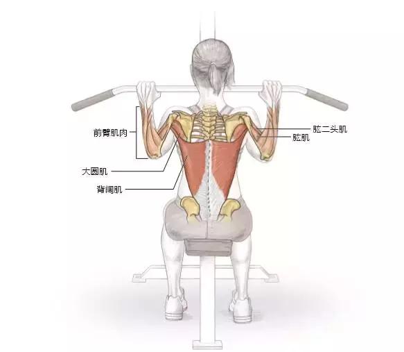 手臂力量对足球运动员有什么好处,手臂训练的重要性