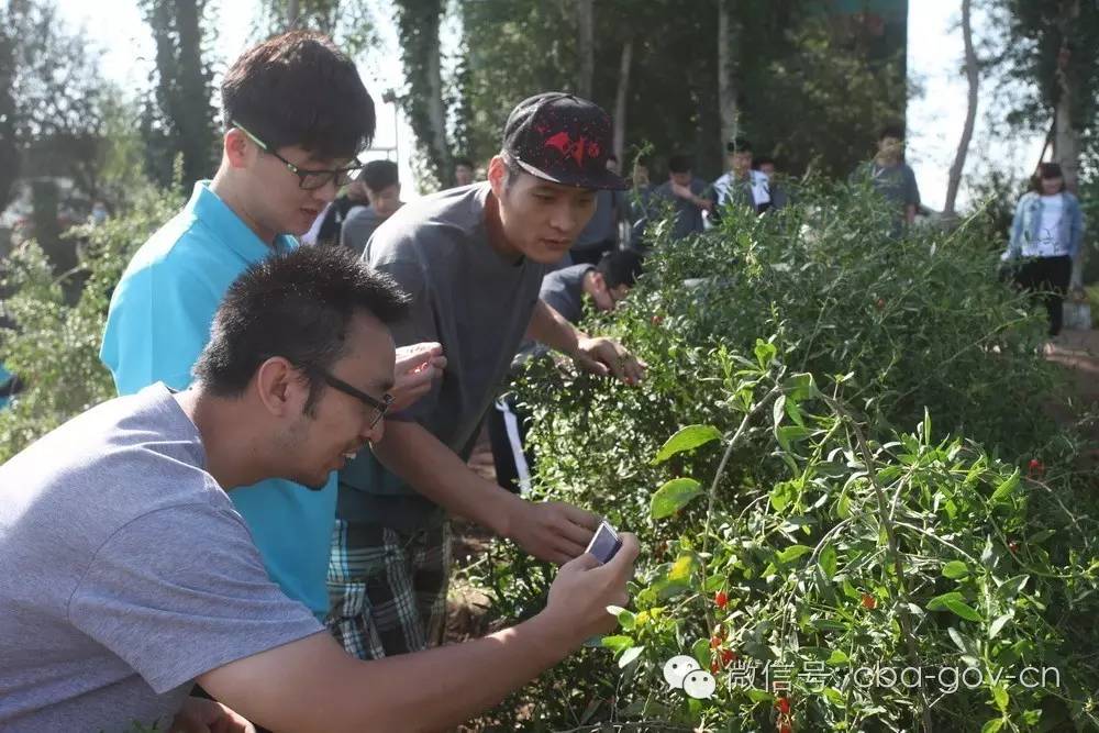 cba公益行,cbc公益活动