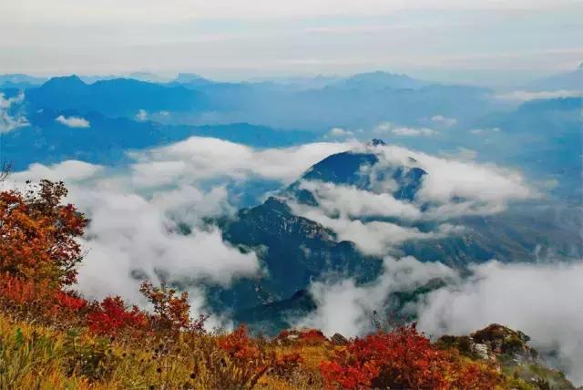 保定周边免费看红叶最佳旅游地点,保定周边一日游看红叶自驾游