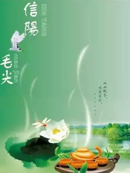 2003普洱茶最贵生茶,最贵普洱新茶排名前十