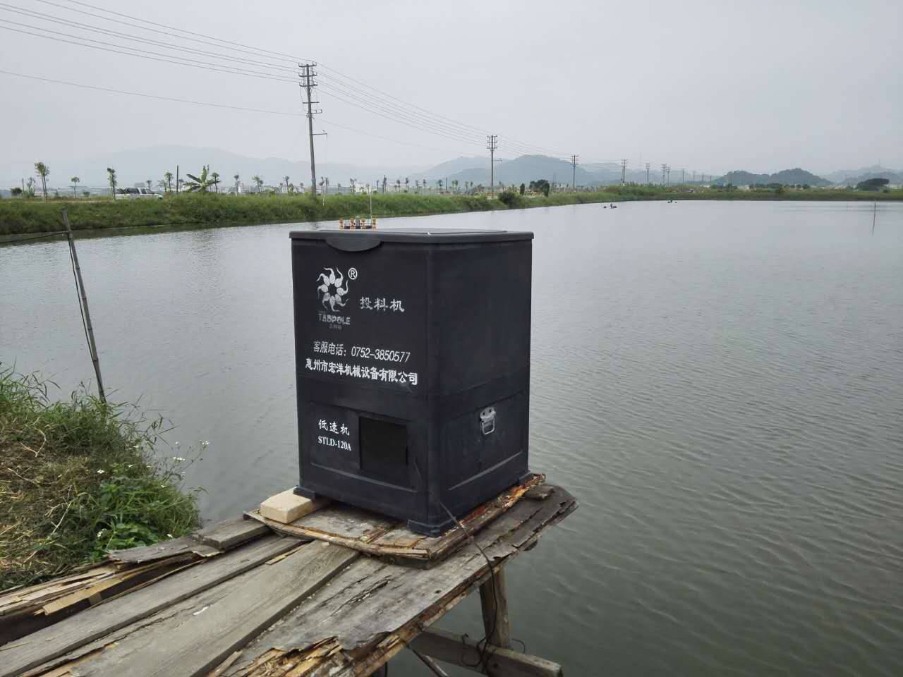 新思路新探索新模式,新模式水产养殖鱼苗