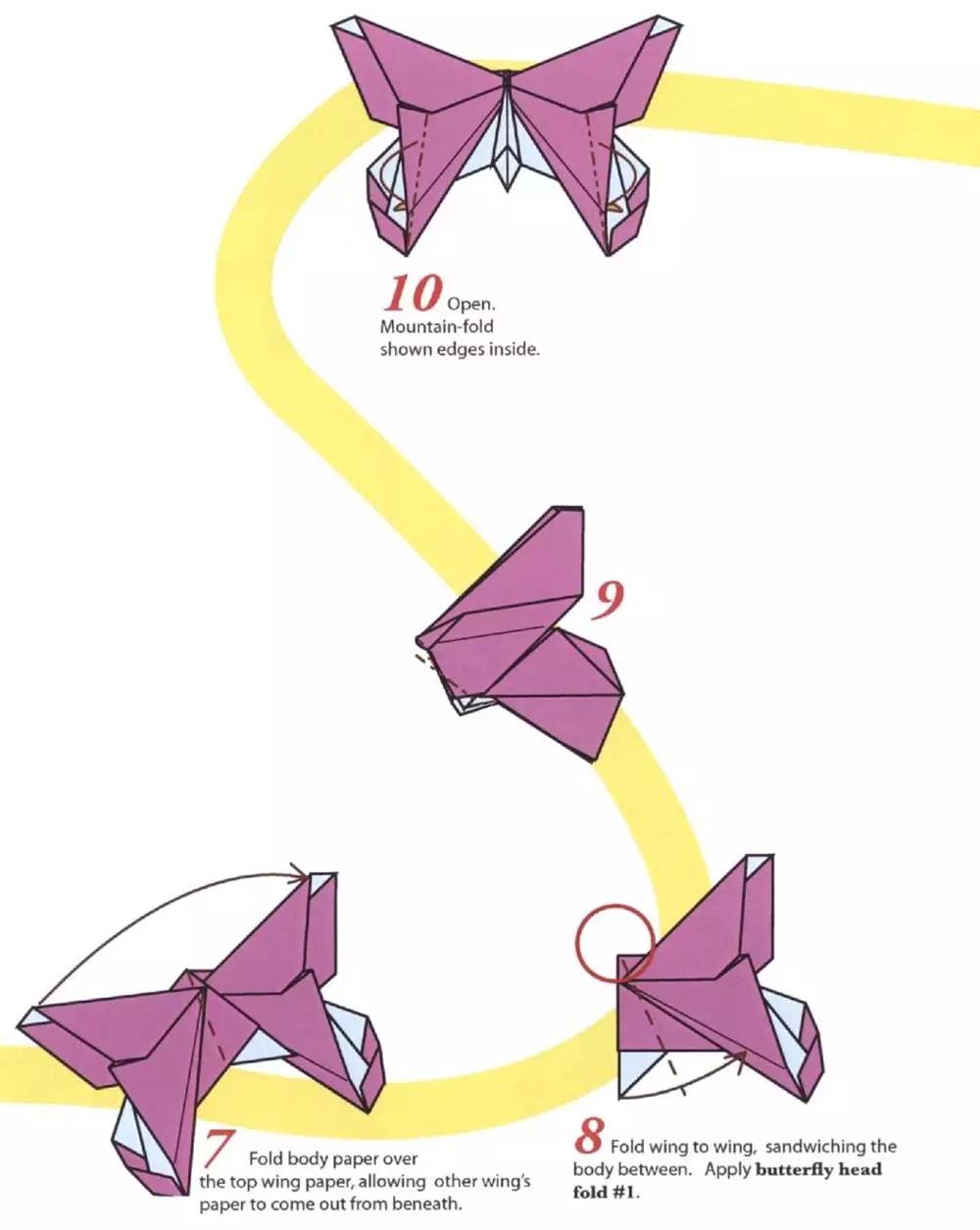 蝴蝶折纸教程超高难度,折纸蝴蝶今日分享