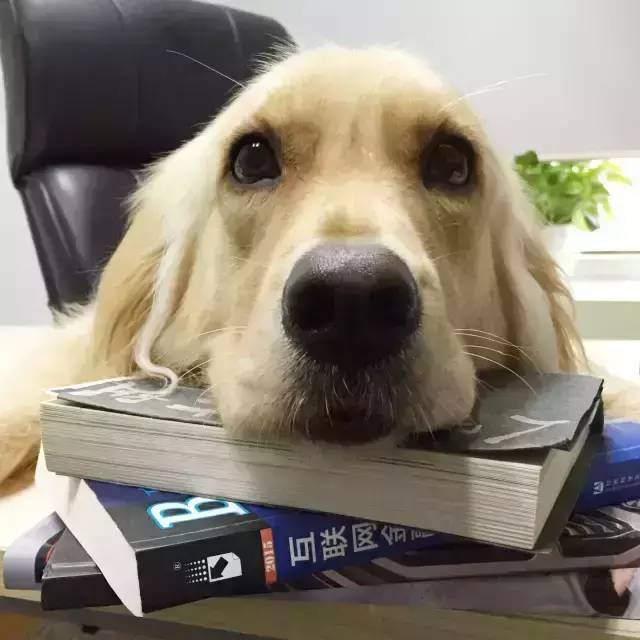 国产粮为什么这么便宜,国产粮是什么