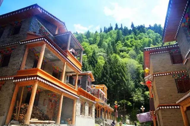 黑水彩林秘境,阿坝藏族羌族自治州黑水彩林