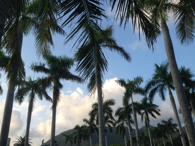 懒人版三亚旅游攻略,海南三亚懒人行租车