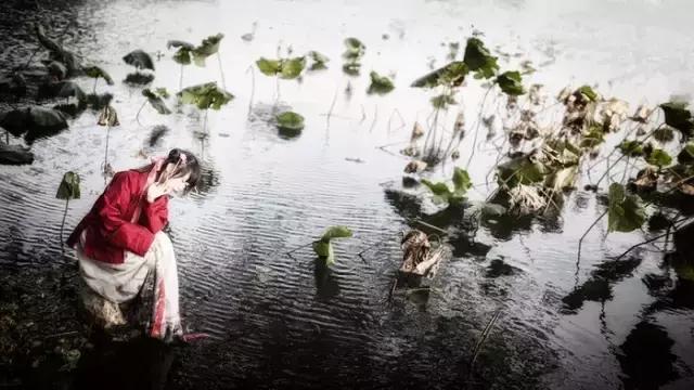 汉服之美谓之华作文,汉服之美的文章