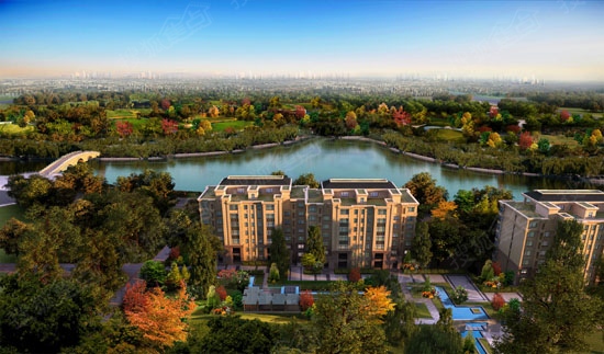 沧州项目推荐,沧州有什么好的项目