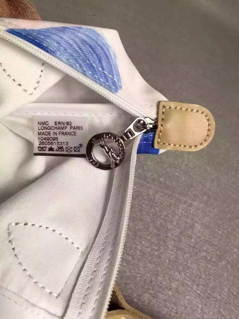 longchamp珑骧饺子包,longchamp饺子包爆款