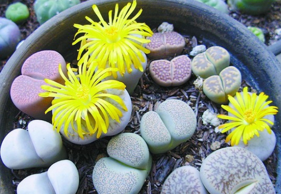 稀奇景色,稀奇风景原创素材