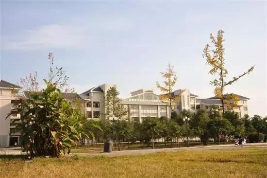 德阳美丽自然风光,德阳学校风景