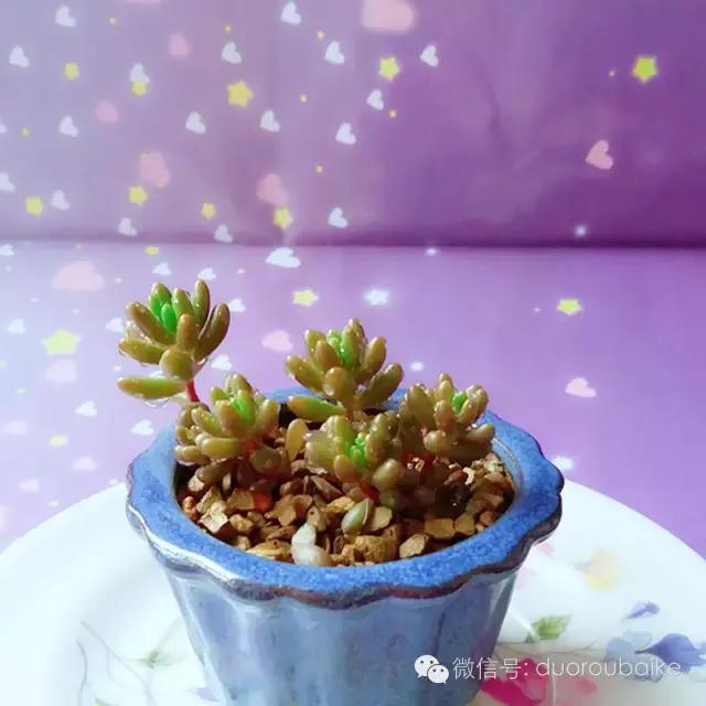 入坑就不能自拔,入坑后无法自拔