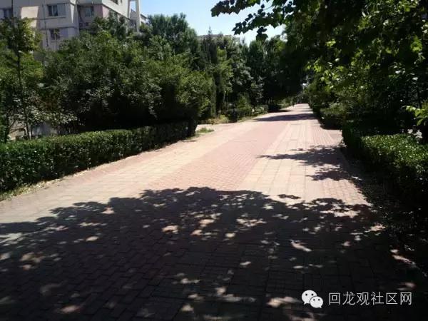 西班牙周末跳蚤市场,跳蚤市场开市啦