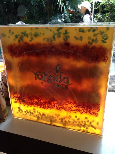 懒人版三亚旅游攻略,海南三亚懒人行租车