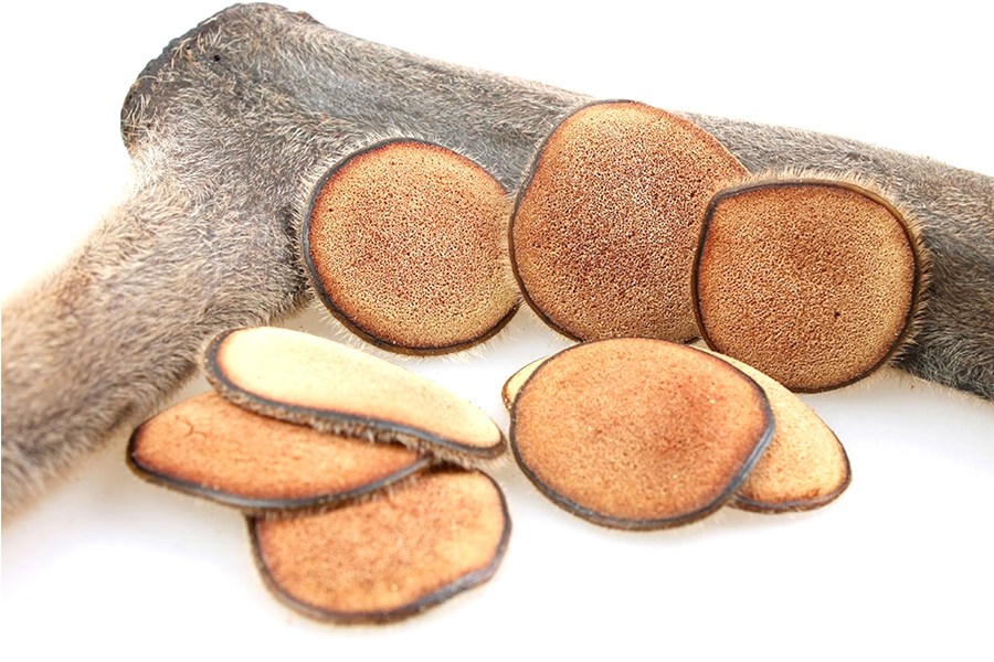 人参五味子泡酒的全配方,长白山人参泡酒最佳配方