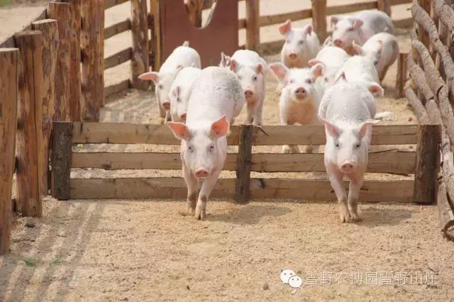 感恩教师节景区活动,感恩教师节门票优惠政策