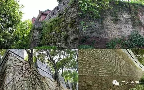 广州五月份去哪旅游最好,广州旅游去哪里好玩推荐