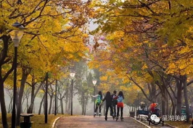 广东肇庆风水大势分析,肇庆风水大揭秘