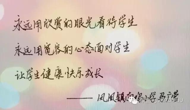 临淄中小学老师,临淄优秀教师2020