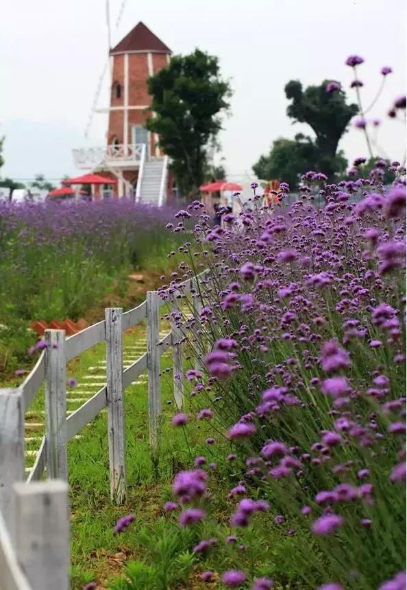 武汉不为人知的好玩地方推荐,武汉50块好玩的地方