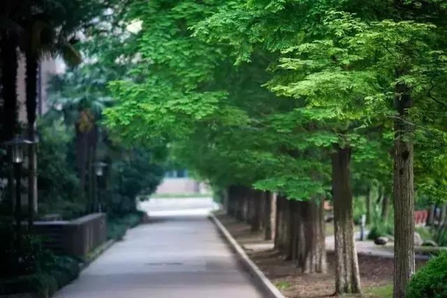新生指南浙师大,新生攻略大学生