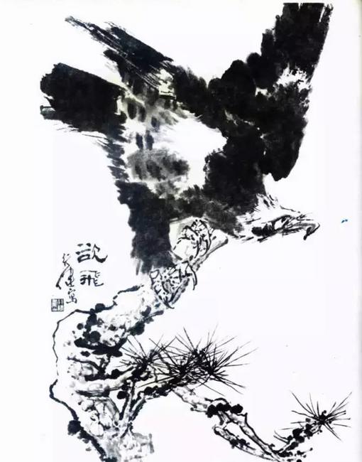 国画之鹰作品大全大图,国画大写意鹰图片大全