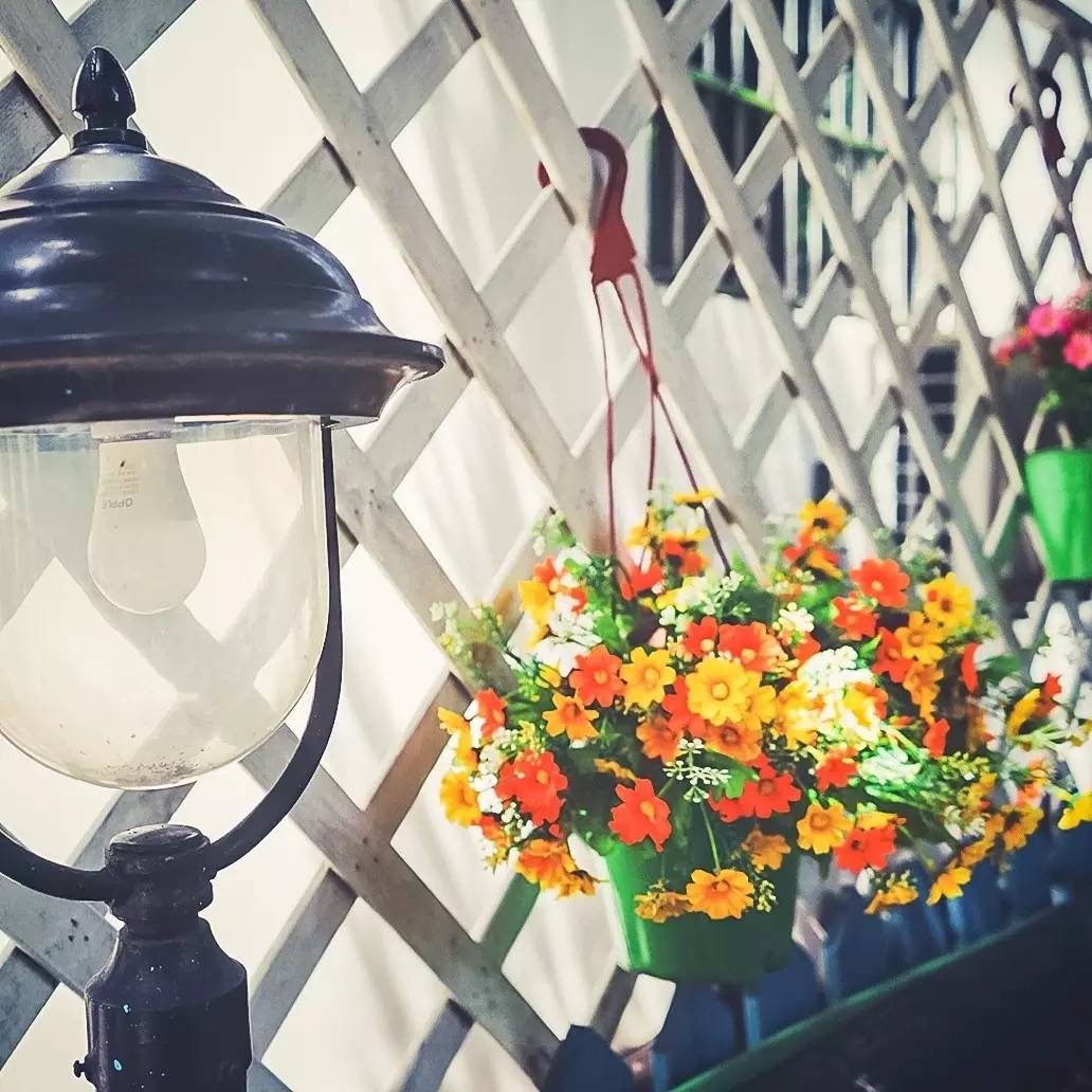 文艺女青年的四大归宿,文艺女青年喜欢去的地方有哪些